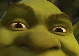 Image result for shrek meme