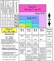 Image result for Lung Cancer TNM Staging 7th Edition