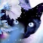 Image result for Galaxy Cat Wallpaper Landscape