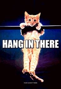 Image result for Hang in There Cat Meme