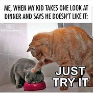 Image result for Funny Memes About Parents