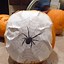 Image result for Cute Easy Cat Pumpkin Carving Ideas