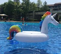 Image result for Unicorn Pool Float