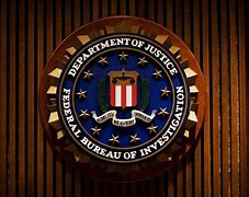 Image result for Cool FBI Logo