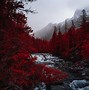Image result for iOS 8 Wallpaper 4K Nature