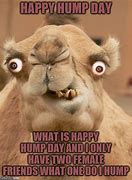 Image result for Double Hump Day Meme