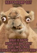Image result for Happy Baraapp Day Meme