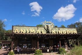 Image result for Disney Animal Kingdom Park