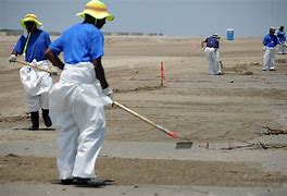 Image result for Cartoon Image of Clean Up After a Parade