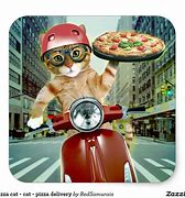 Image result for Hello Pizza Meme Cat