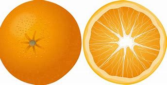 Image result for Orange Fruit Drawing