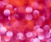 Image result for Light-Pink Aesthetic Collage