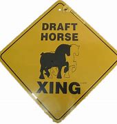 Image result for Horse Crossing the Finish Line