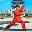 Image result for Wu Style Tai Chi Stances