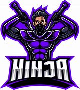 Image result for Cricket Ninjas Logo