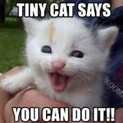 Image result for You Can Do It Cat Meme