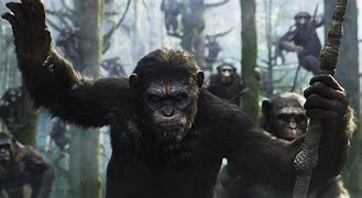 Image result for Bring an Apes