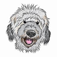 Image result for Labradoodle Dog Clip Art