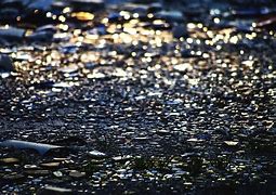 Image result for Shattered Mirror Reflection