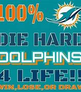 Image result for Funny Miami Dolphins Memes with Cincinati Bengals