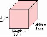 Image result for 1 Cm Length On a Hand