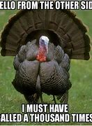 Image result for Kramer Turkey Meme