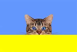 Image result for Cat Meme Banner