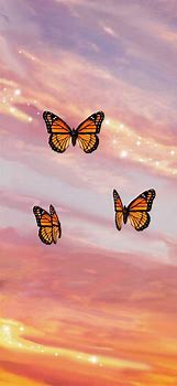 Image result for Orange Butterflies Aesthetic