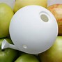 Image result for Glass Apple Bonzai the Way