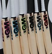 Image result for A Cricket Bat