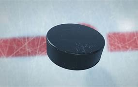 Image result for Hockey Puck Up Close