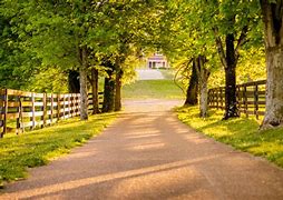 Image result for Digital Country Road Background