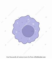 Image result for Macrophage Icon