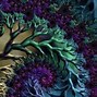 Image result for Psychedelic Screensavers