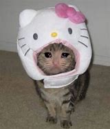 Image result for Hello Kitty IRL