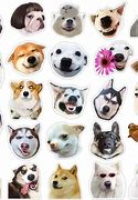 Image result for funny dogs sticker