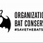 Image result for Indiana Bat