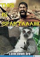 Image result for 300 Spartans Meme