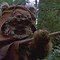 Image result for Star Wars Endor Ewok