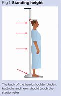 Image result for Measuring Someone's Height