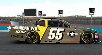 Image result for NASCAR Tribute Schemes