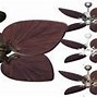 Image result for Tropical Ceiling Fans