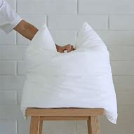 Image result for Cushion Inserts 45X45