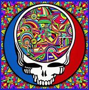 Image result for Steal Your Face SF 49ers