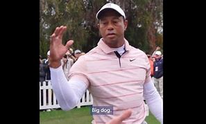 Image result for Yo Dawg Lazy Meme