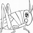 Image result for Grasshopper Coloring