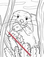 Image result for Otter Fabric