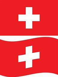 Image result for Switzerland Flag Black and White
