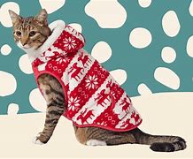 Image result for Cat-Themed Sweaters