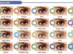 Image result for Multifocal Color Contact Lenses